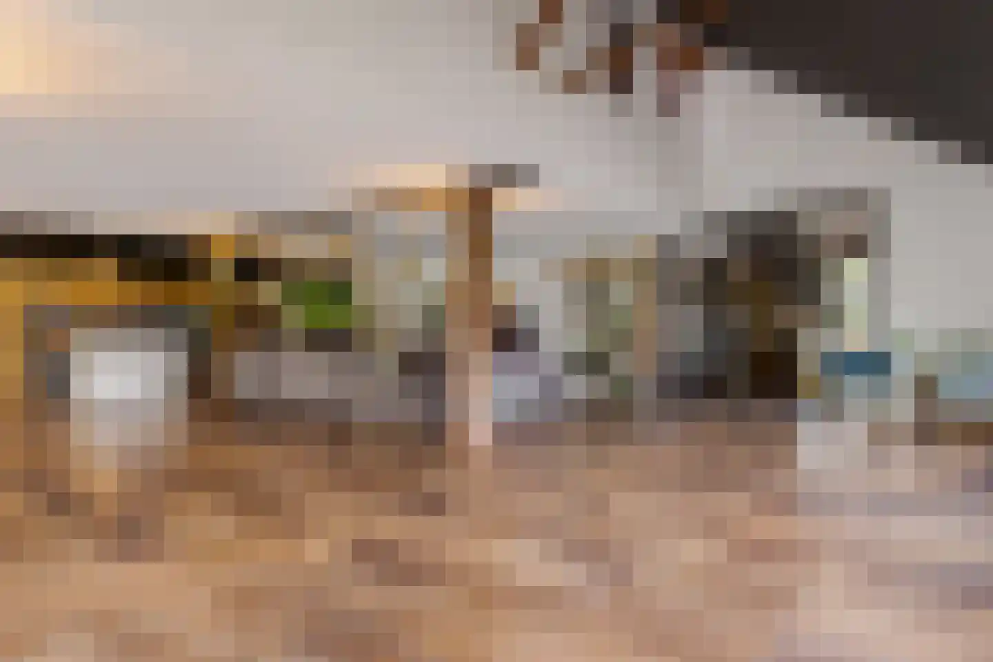 Tilbrugstraat 5 Zuidveld thumbnail 16