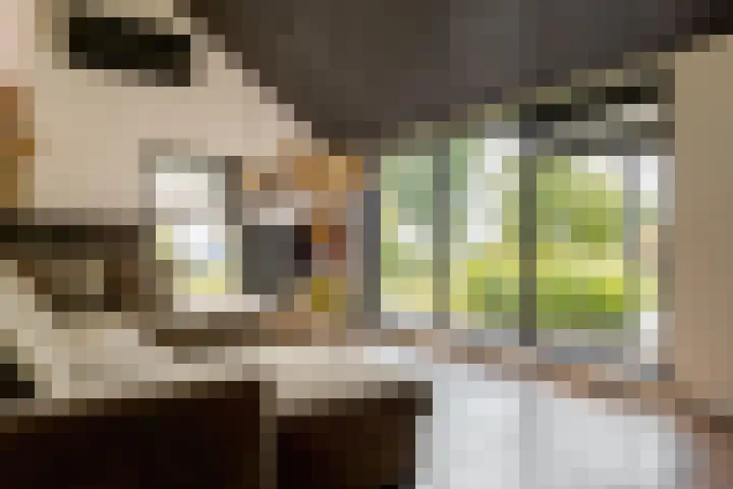 Tilbrugstraat 5 Zuidveld thumbnail 21