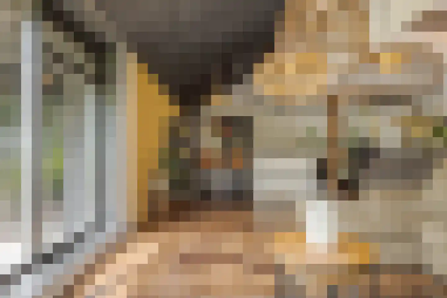 Tilbrugstraat 5 Zuidveld thumbnail 22