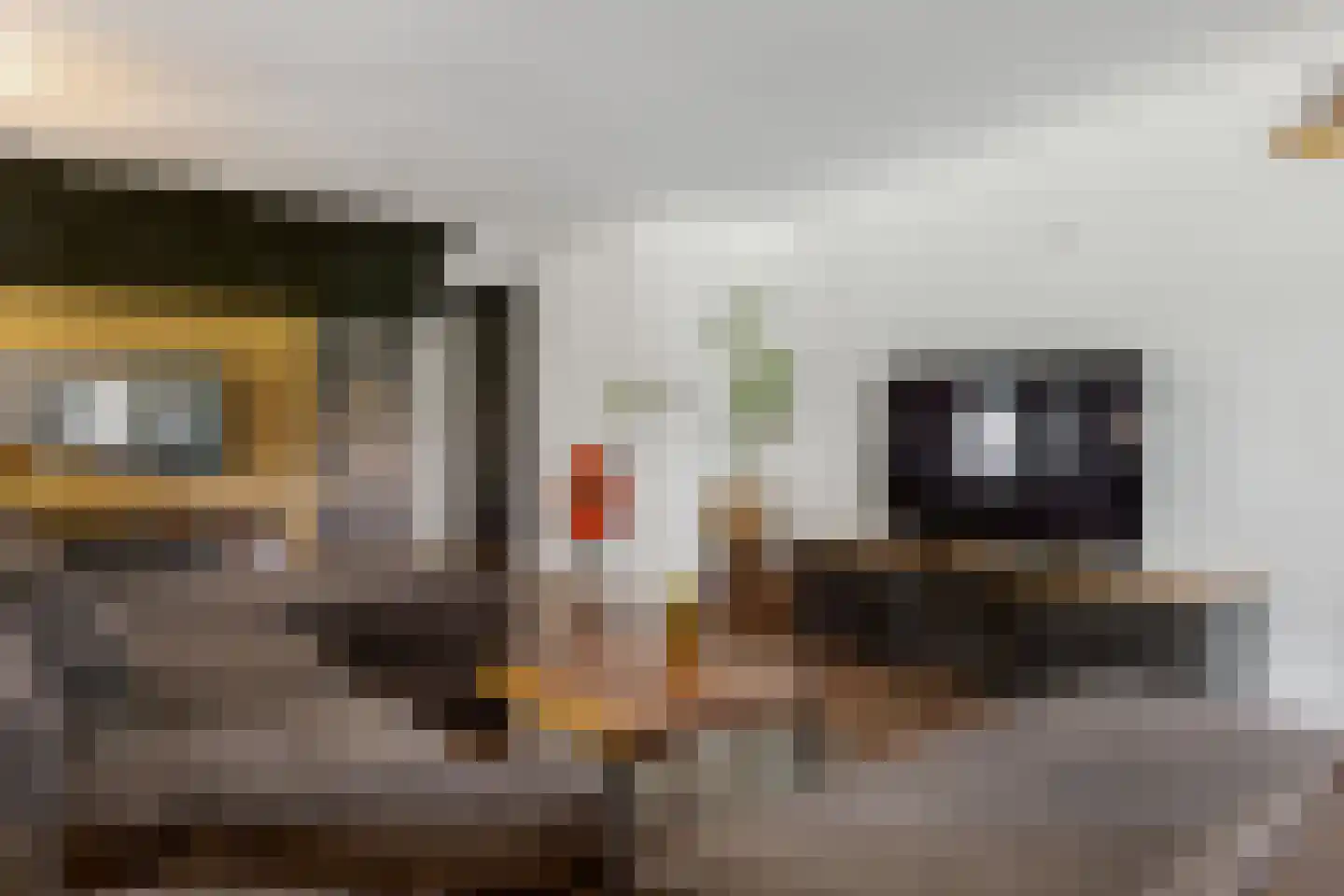 Tilbrugstraat 5 Zuidveld thumbnail 27