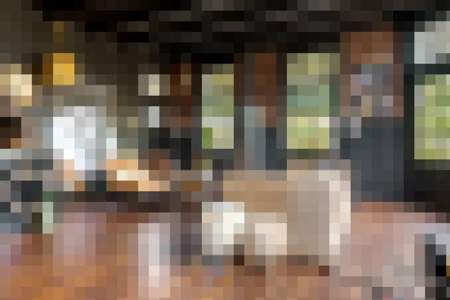 Tilbrugstraat 5 Zuidveld thumbnail 34
