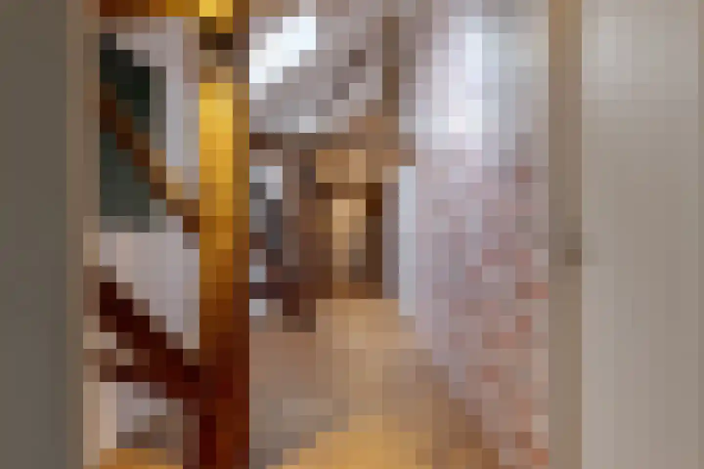 Tilbrugstraat 5 Zuidveld thumbnail 41