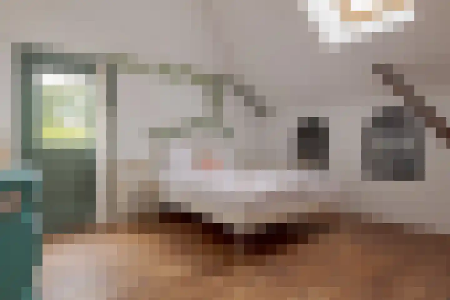 Tilbrugstraat 5 Zuidveld thumbnail 48