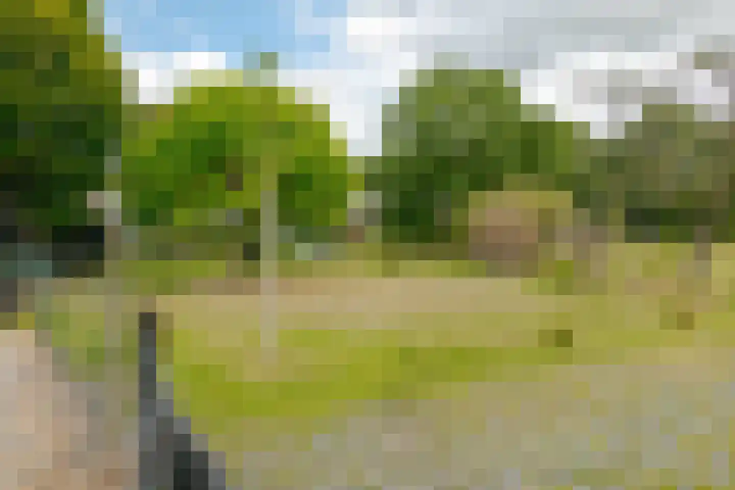 Tilbrugstraat 5 Zuidveld thumbnail 57