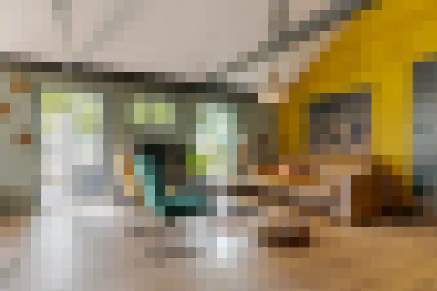 Tilbrugstraat 5 Zuidveld thumbnail 93