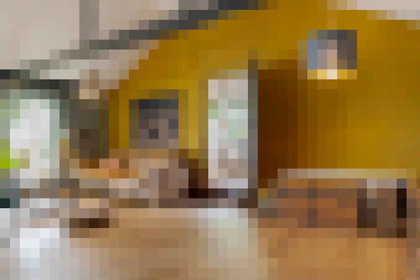 Tilbrugstraat 5 Zuidveld thumbnail 97