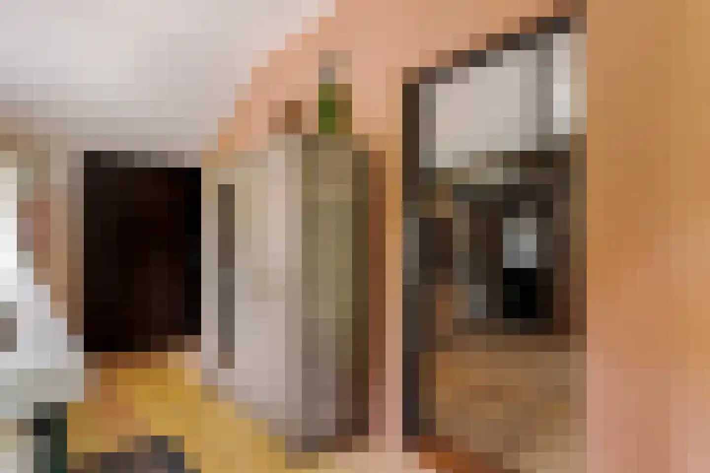 Tilbrugstraat 5 Zuidveld thumbnail 98