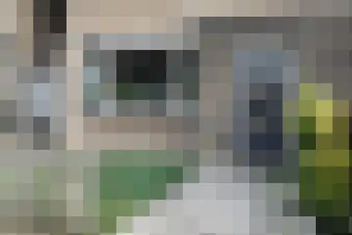 Tilburglaan 11 's-Hertogenbosch thumbnail 6