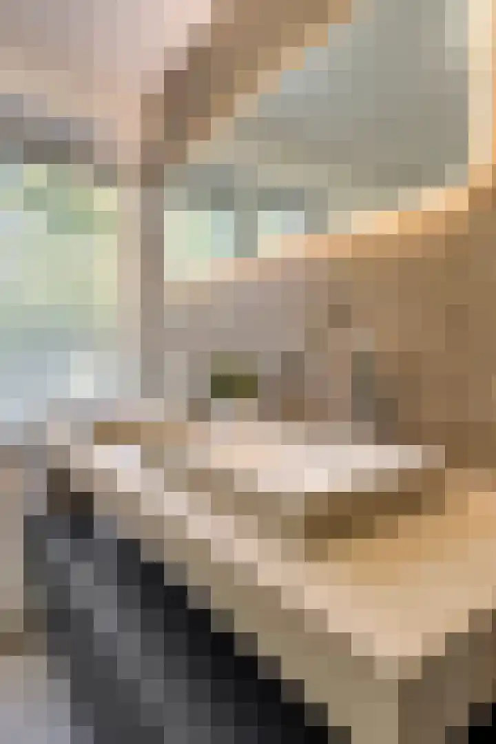 Tilburglaan 19 's-Hertogenbosch thumbnail 24