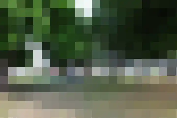 Tilburglaan 21 's-Hertogenbosch thumbnail 30