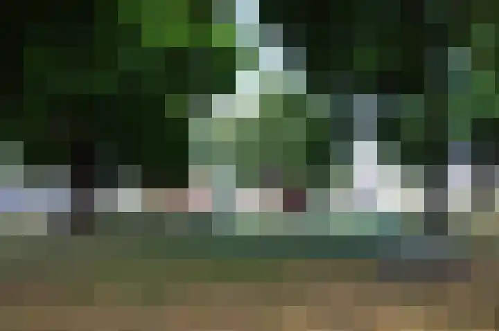 Tilburglaan 21 's-Hertogenbosch thumbnail 31