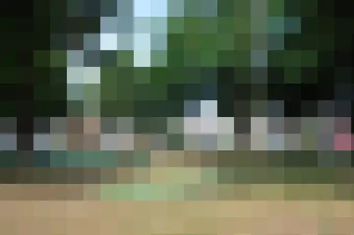 Tilburglaan 21 's-Hertogenbosch thumbnail 32