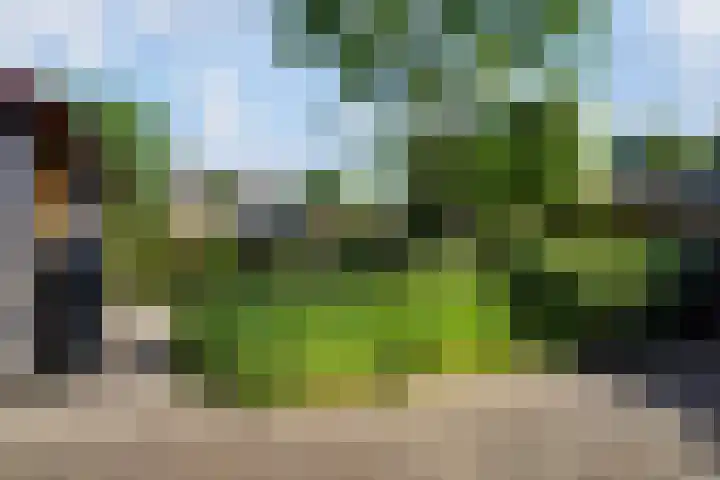 Tilburgseweg 120 Oisterwijk thumbnail 36