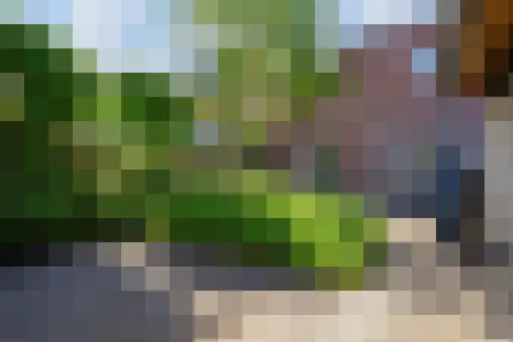 Tilburgseweg 120 Oisterwijk thumbnail 37