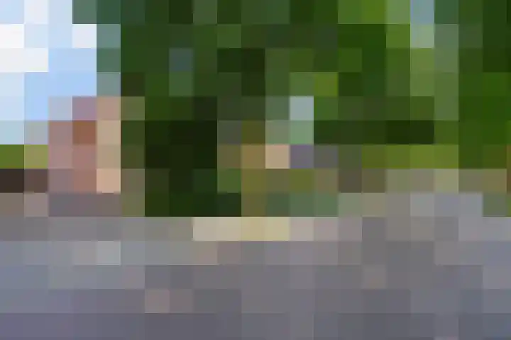 Tilburgseweg 120 Oisterwijk thumbnail 46