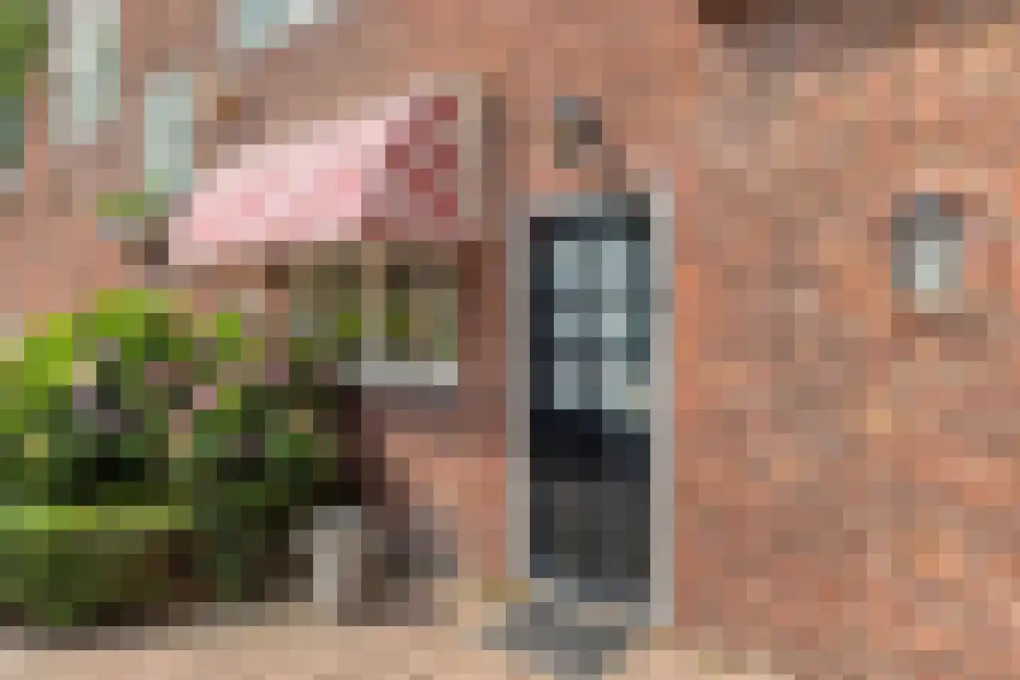 Tilburgseweg 146 Oisterwijk thumbnail 36