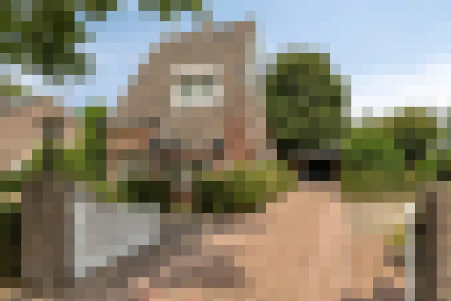 Tilburgseweg 146 Oisterwijk thumbnail 7