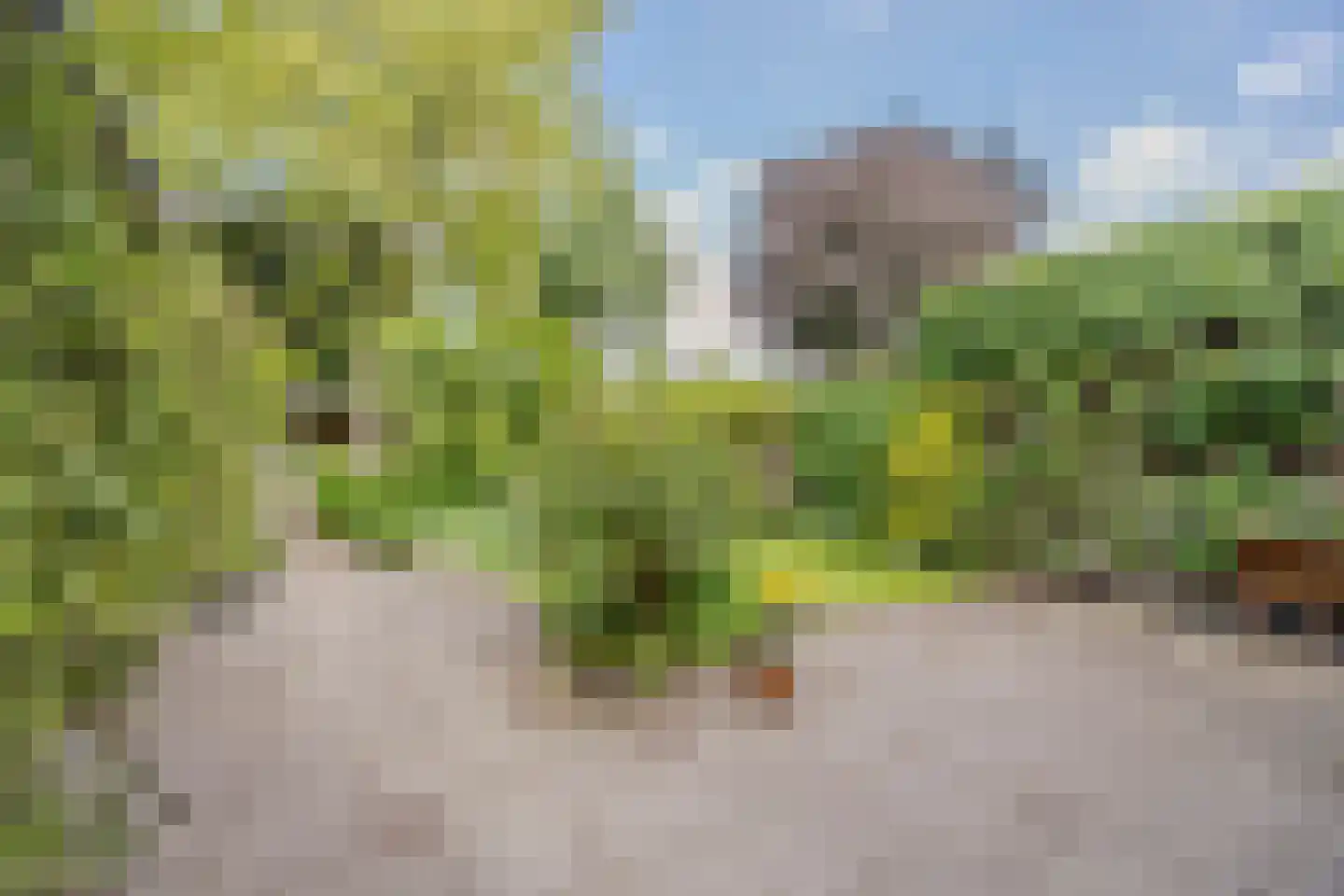 Tilburgseweg 147 a Goirle thumbnail 4