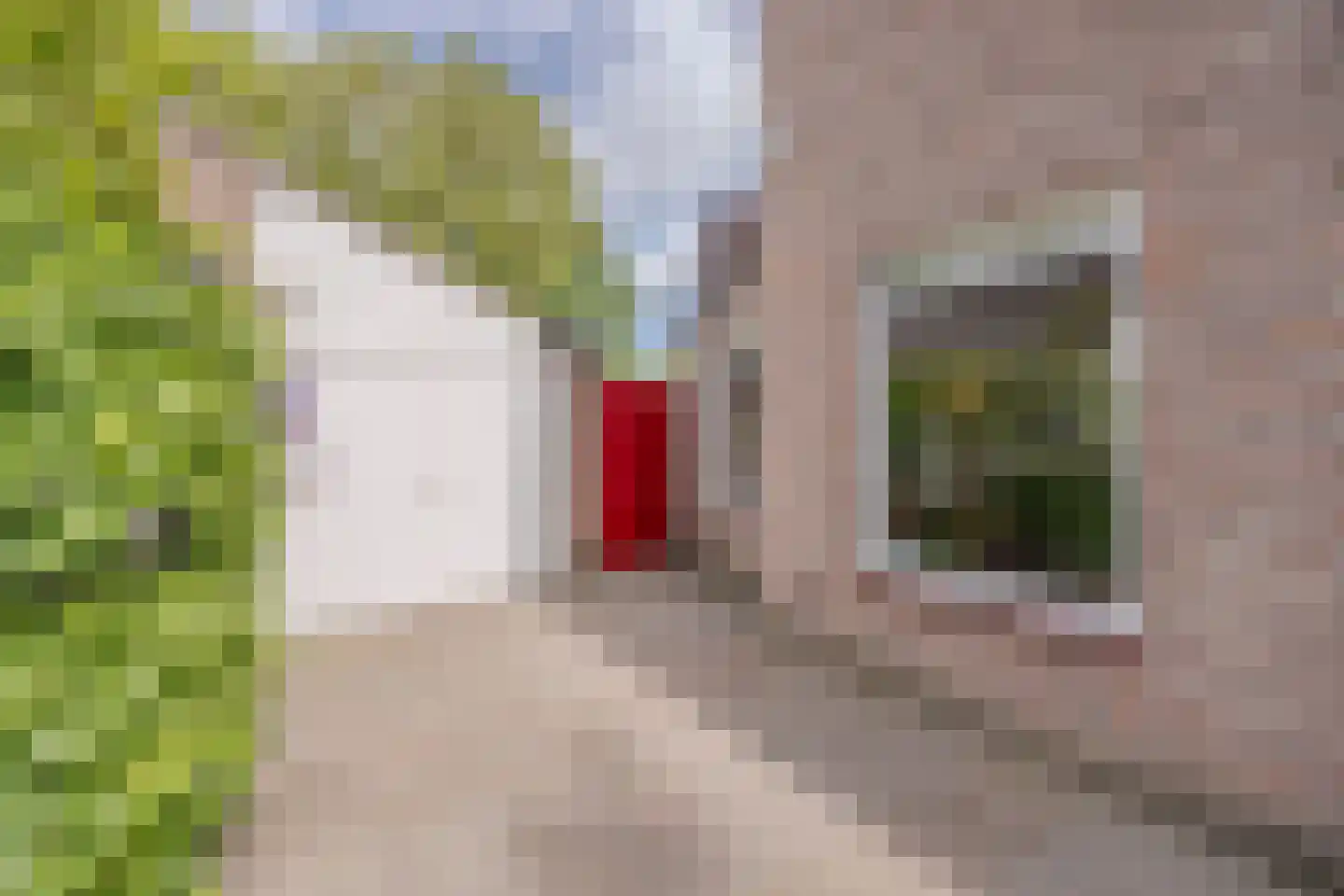 Tilburgseweg 147 a Goirle thumbnail 61