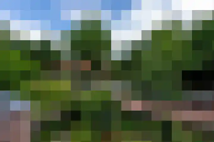 Tilburgseweg 160 Goirle thumbnail 32