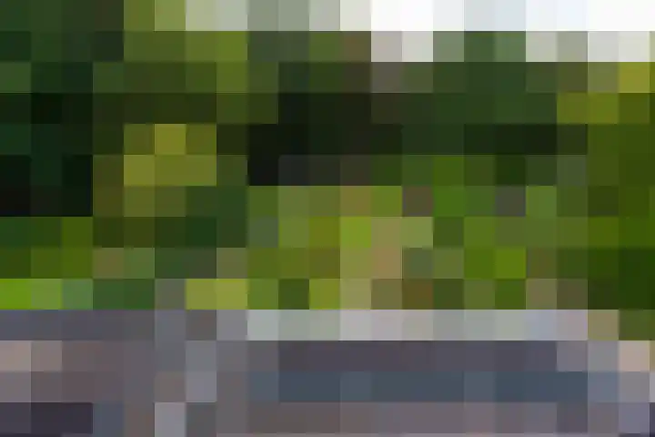 Tilburgseweg 160 Goirle thumbnail 33