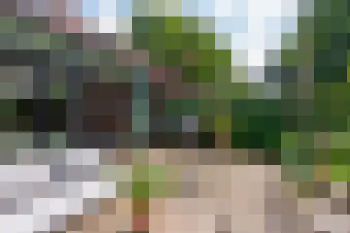 Tilburgseweg 160 Goirle thumbnail 34