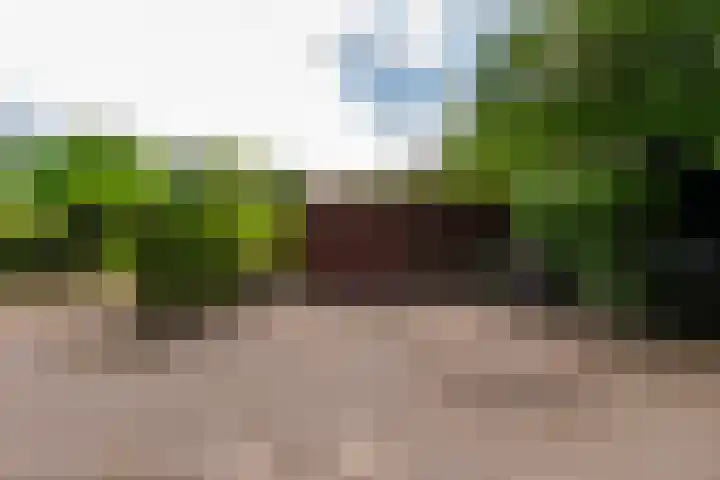 Tilburgseweg 160 Goirle thumbnail 42