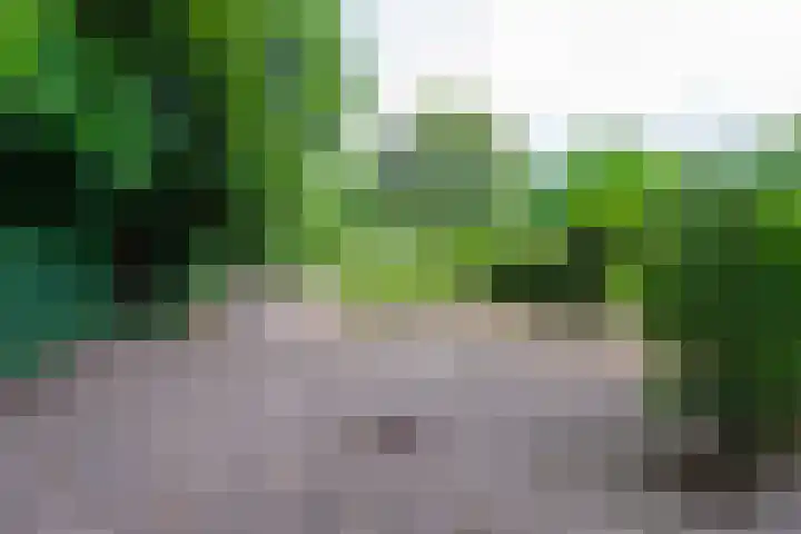 Tilburgseweg 160 Goirle thumbnail 43