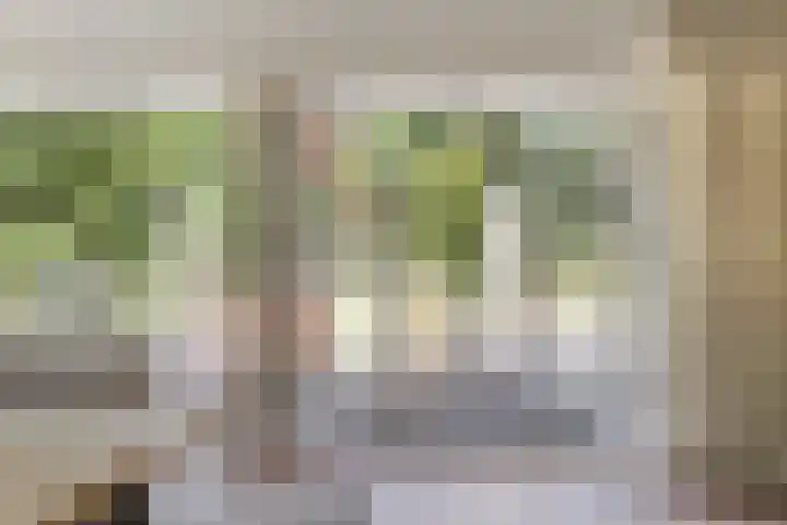 Tilburgseweg 170 Goirle thumbnail 34