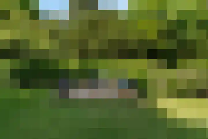 Tilburgseweg 170 Goirle thumbnail 38