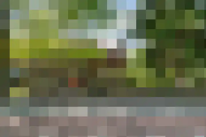 Tilburgseweg 170 Goirle thumbnail 4
