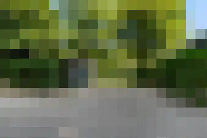 Tilburgseweg 170 Goirle thumbnail 42