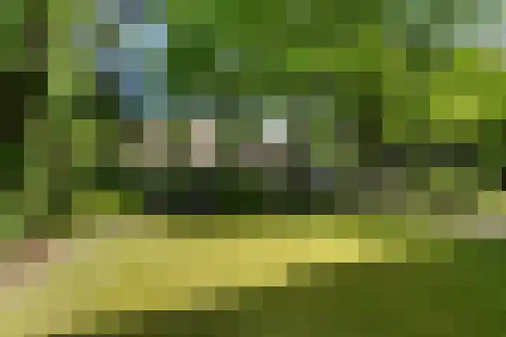 Tilburgseweg 170 Goirle thumbnail 47