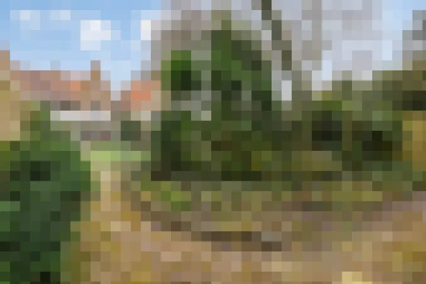 Tilburgseweg 181 Goirle thumbnail 34