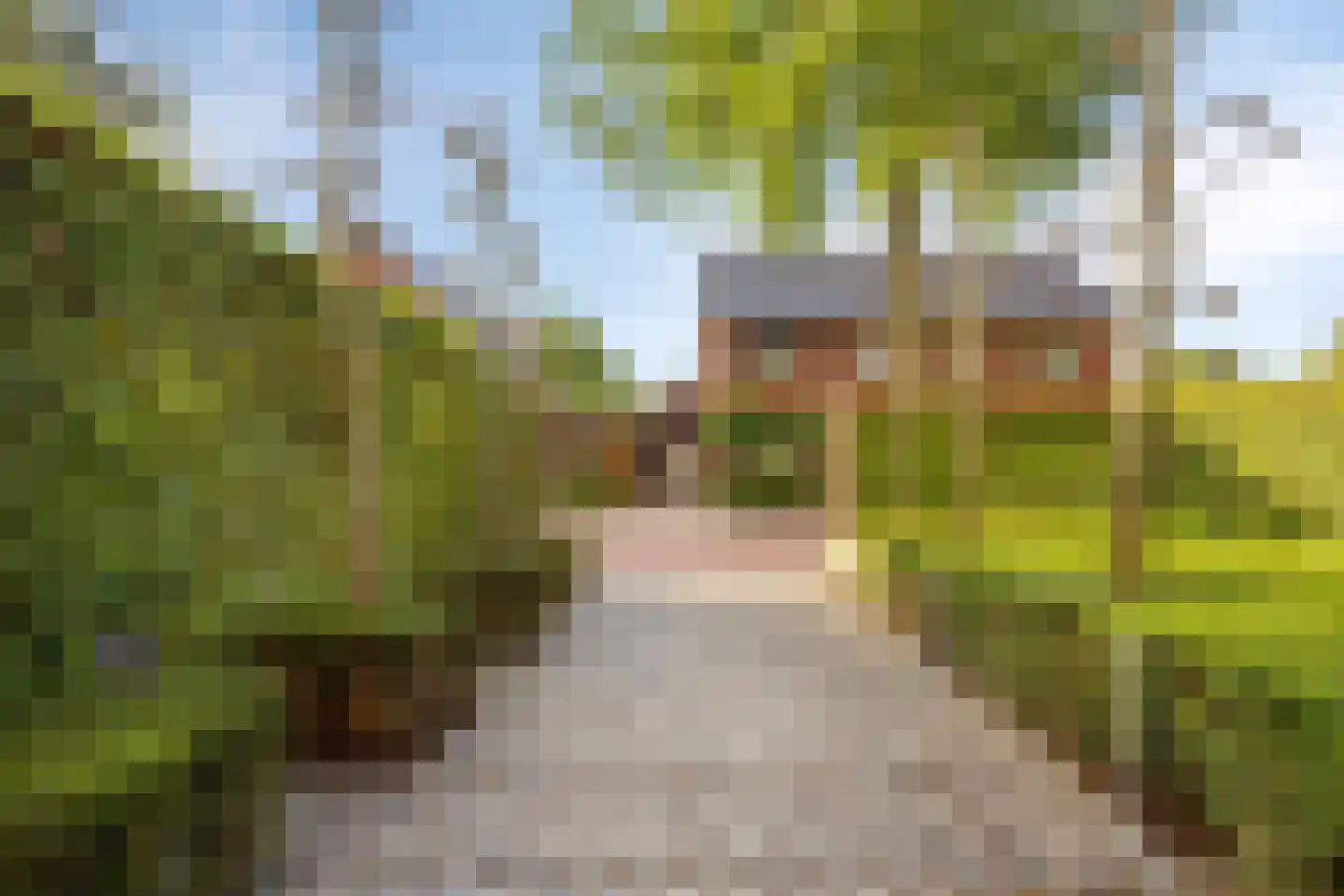 Tilburgseweg 19 Riel thumbnail 11
