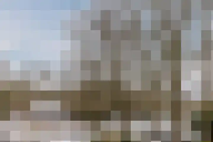 Tilburgseweg 193 05 Goirle thumbnail 13