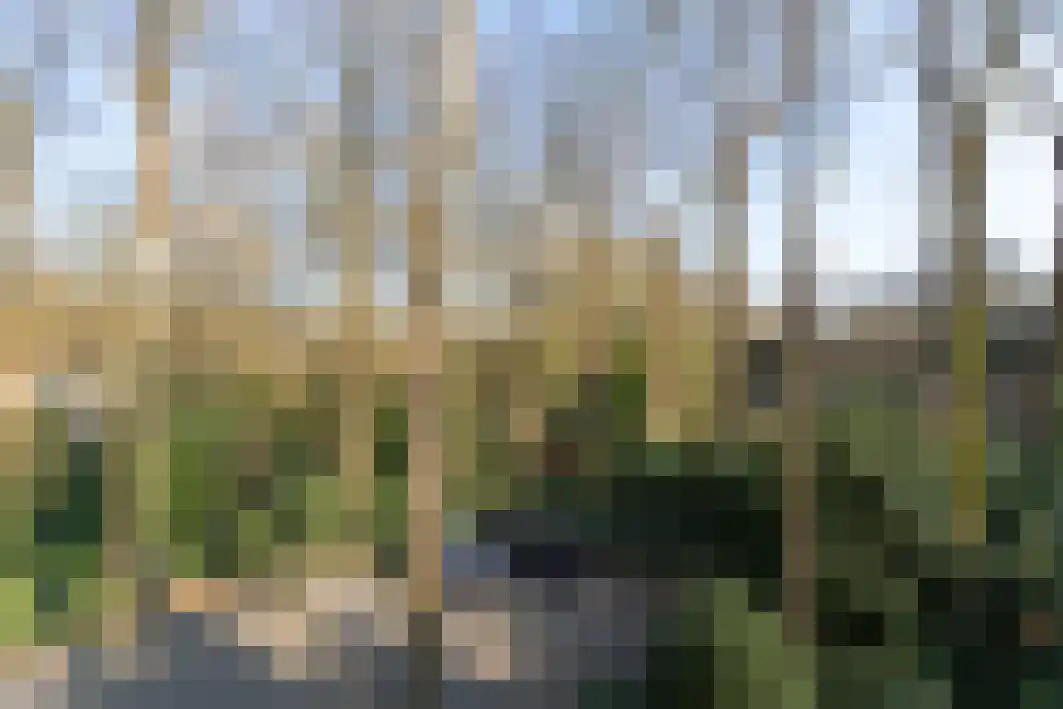 Tilburgseweg 193 12 Goirle thumbnail 35