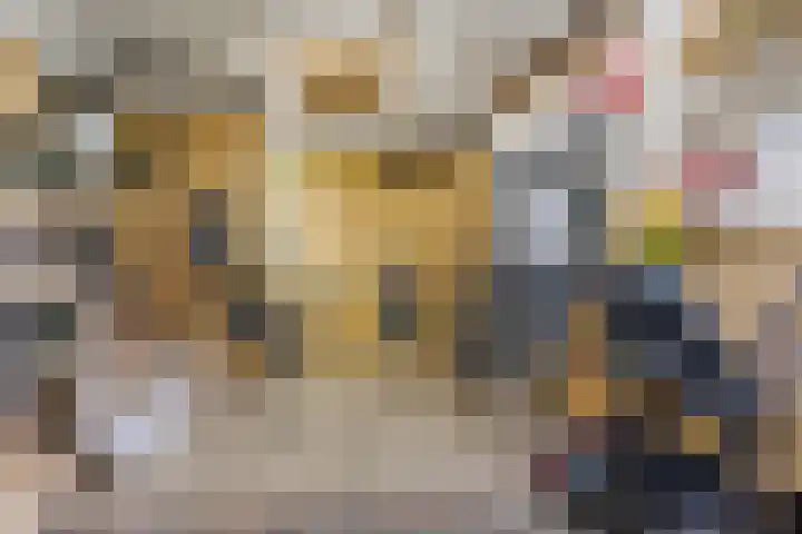 Tilburgseweg 20 Breda thumbnail 39