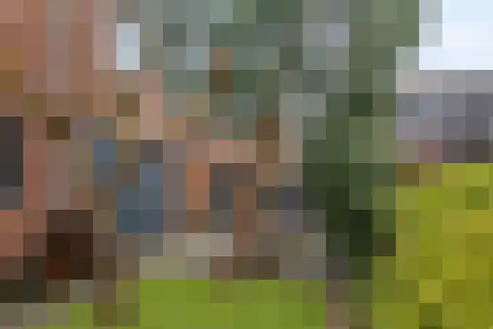 Tilburgseweg 20 Breda thumbnail 5