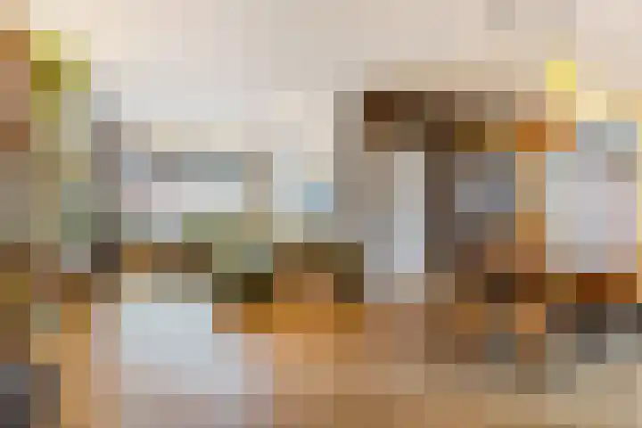 Tilburgseweg 20 Breda thumbnail 8