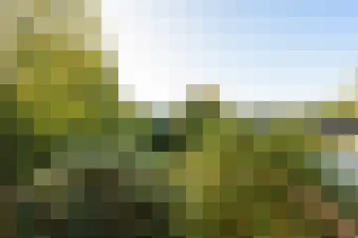 Tilburgseweg 202 BIS Breda thumbnail 34