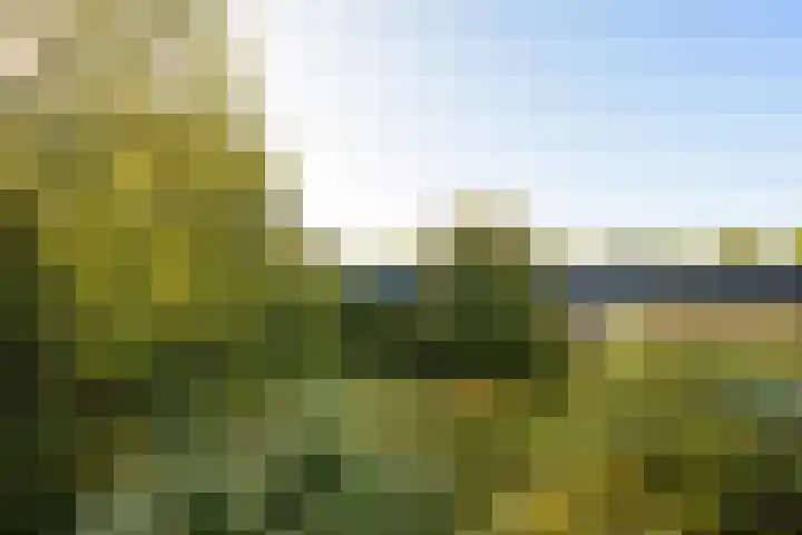 Tilburgseweg 202 BIS Breda thumbnail 35