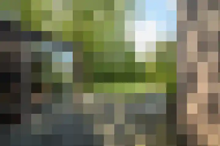 Tilburgseweg 202 BIS Breda thumbnail 56