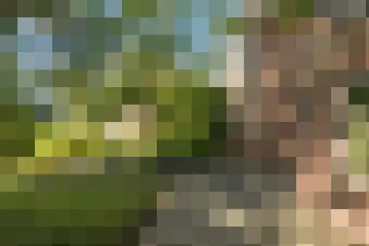 Tilburgseweg 202 BIS Breda thumbnail 58