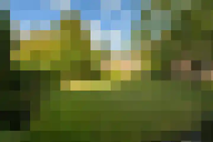 Tilburgseweg 202 BIS Breda thumbnail 59