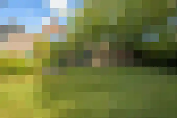 Tilburgseweg 202 BIS Breda thumbnail 6