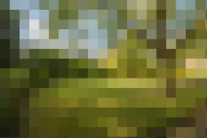 Tilburgseweg 202 BIS Breda thumbnail 7