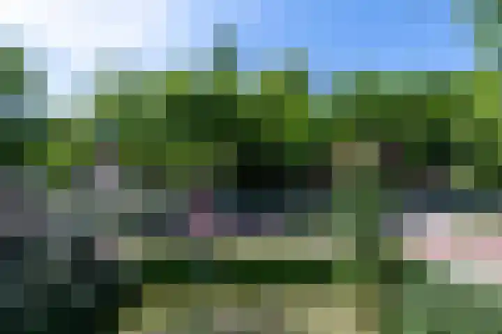 Tilburgseweg 205 Goirle thumbnail 30