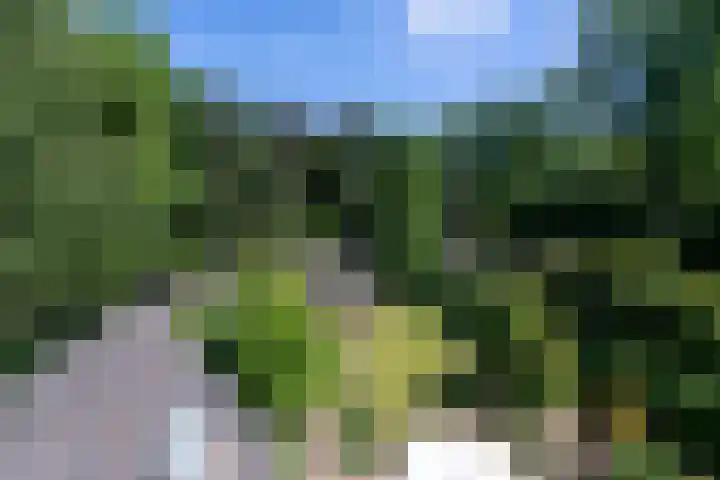 Tilburgseweg 205 Goirle thumbnail 32