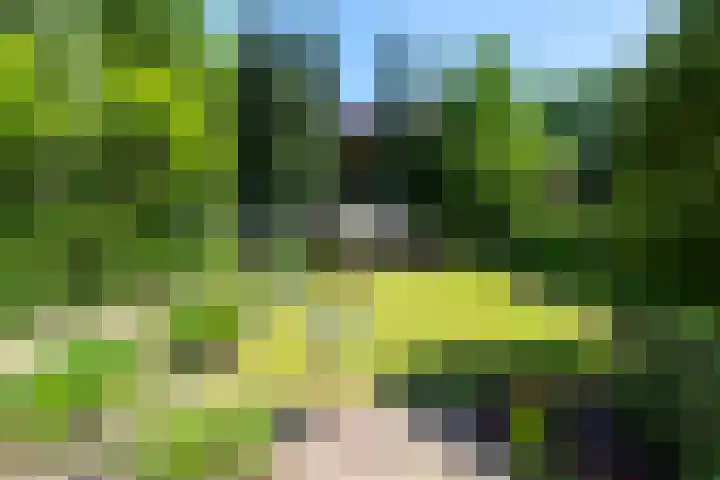 Tilburgseweg 205 Goirle thumbnail 40